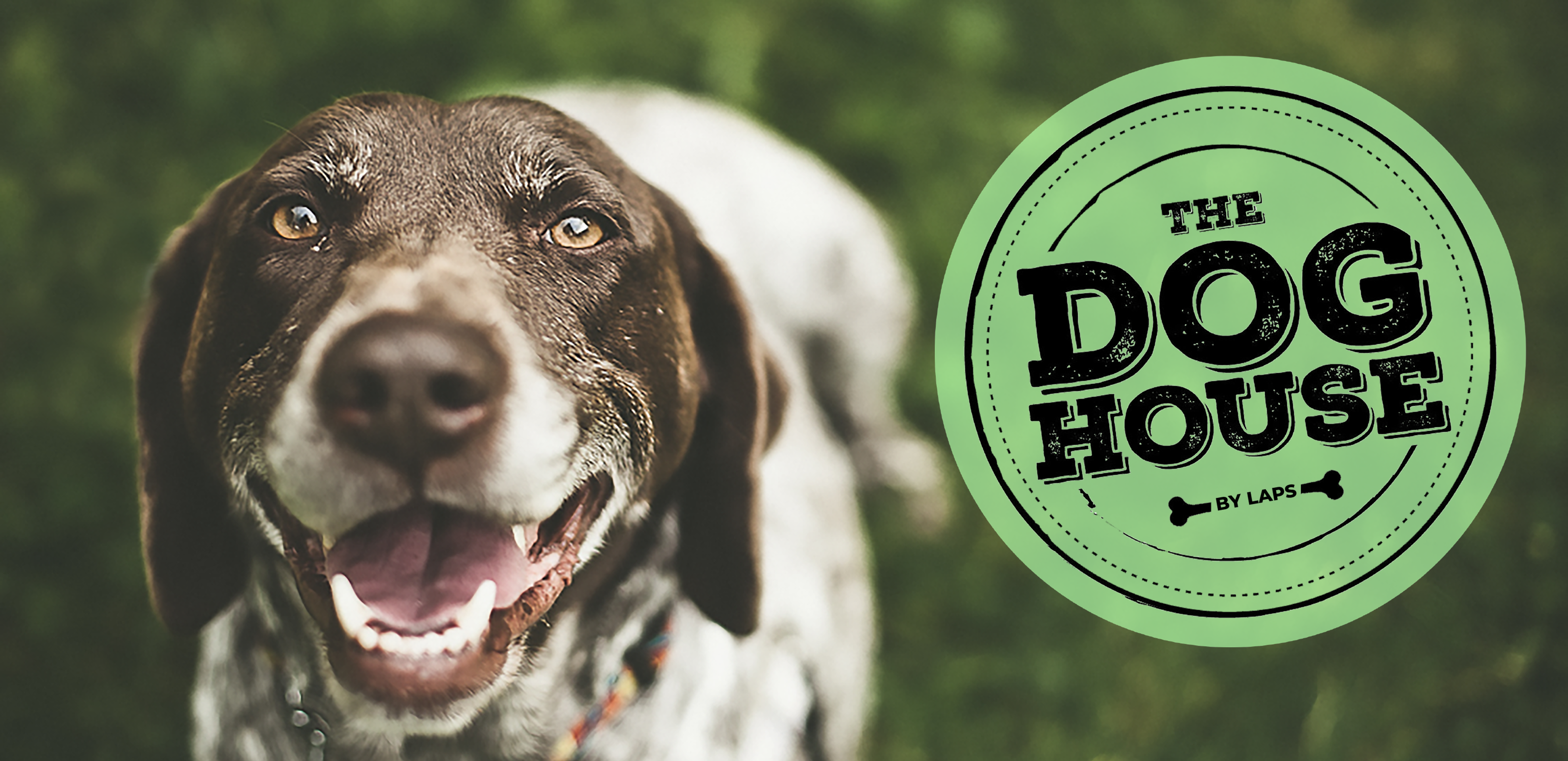 The Doghouse – Langley Animal Protection Society
